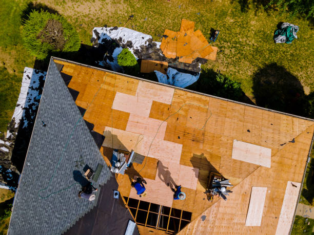 Best Shingle Roofing Installation  in Sistersville, WV