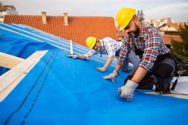 Best Best Roofing Contractors  in Sistersville, WV